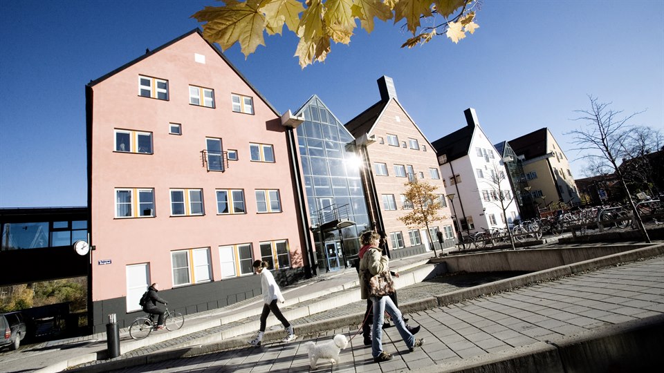 about-mid-sweden-university