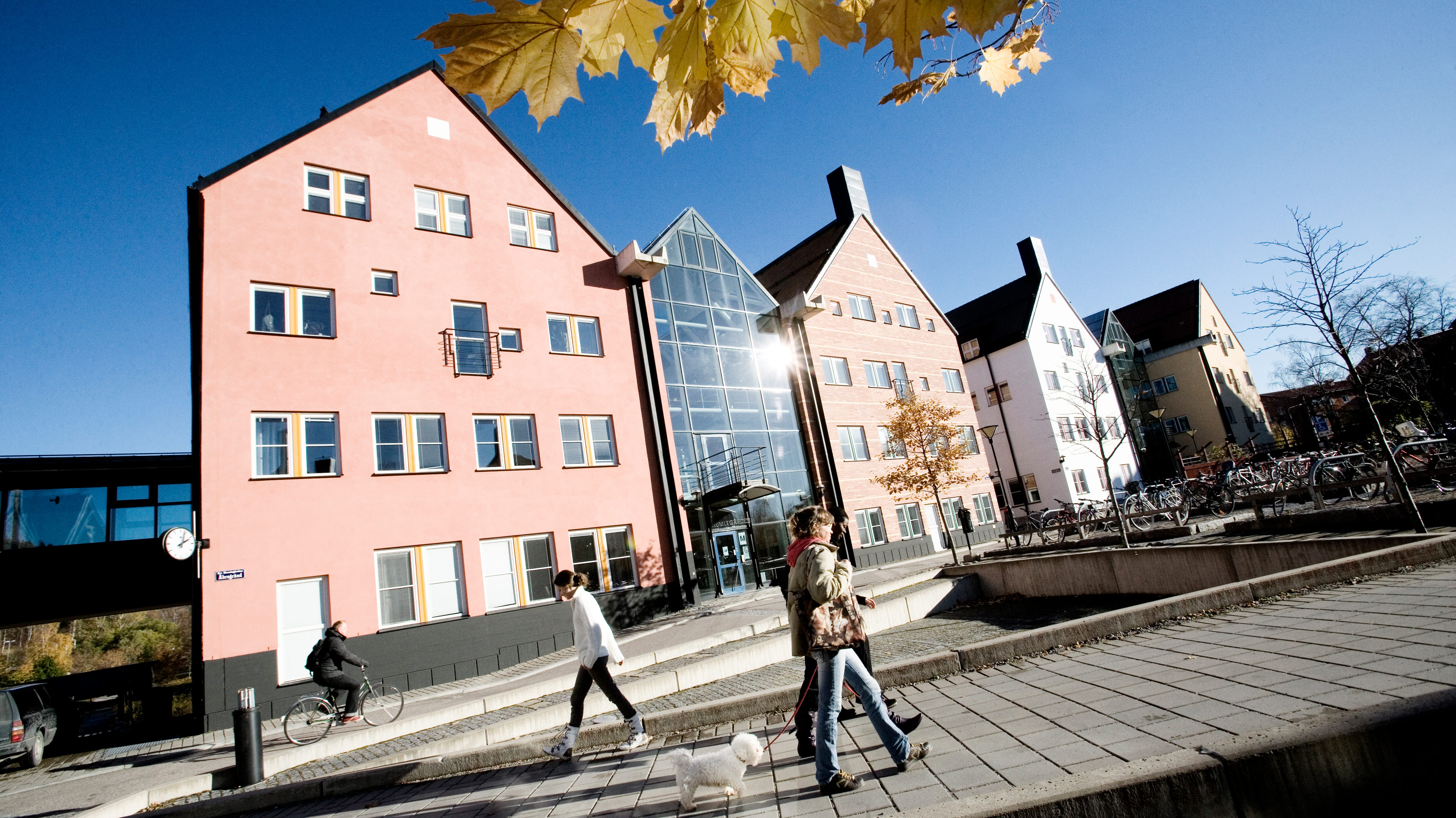 15-tuition-free-universities-in-sweden-world-scholarship-vault